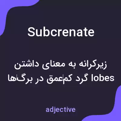 معنی subcrenate به فارسی
