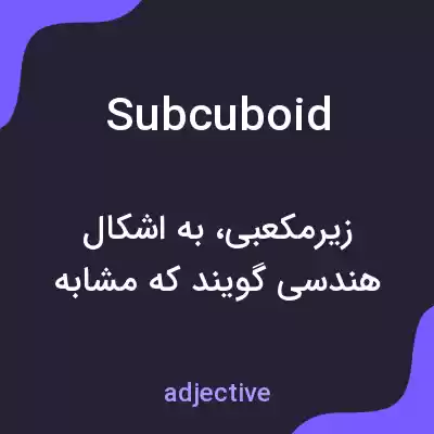 معنی subcuboid به فارسی معنی subcuboid به فارسی