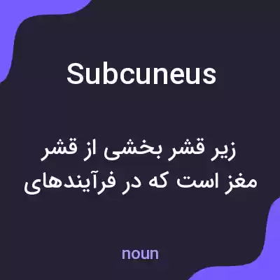 معنی subcuneus به فارسی معنی subcuneus به فارسی