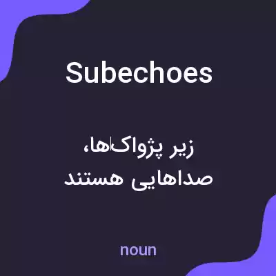 معنی subechoes به فارسی معنی subechoes به فارسی