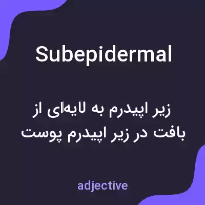 معنی subepidermal به فارسی معنی subepidermal به فارسی
