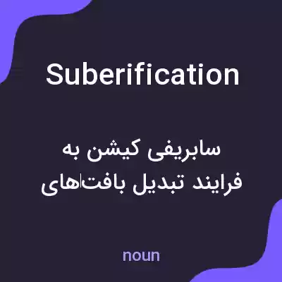 معنی suberification به فارسی