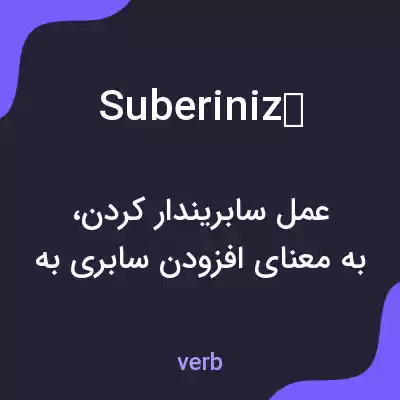 معنی suberinizе به فارسی معنی suberinizе به فارسی