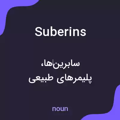 معنی suberins به فارسی معنی suberins به فارسی
