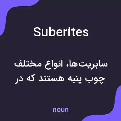 معنی suberites به فارسی معنی suberites به فارسی