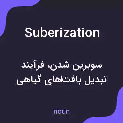 معنی suberization به فارسی معنی suberization به فارسی