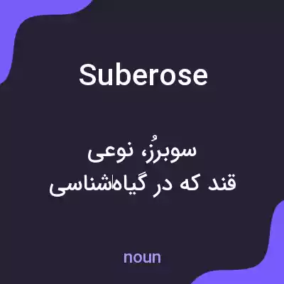 معنی suberose به فارسی معنی suberose به فارسی
