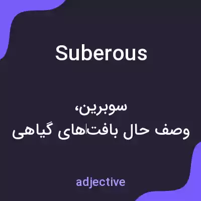 معنی suberous به فارسی معنی suberous به فارسی