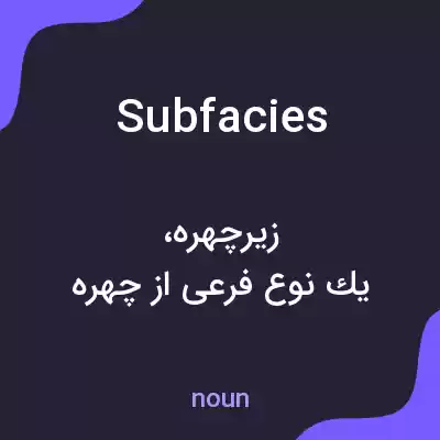 معنی subfacies به فارسی معنی subfacies به فارسی