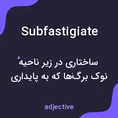 معنی subfastigiate به فارسی