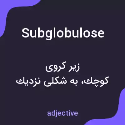 معنی subglobulose به فارسی معنی subglobulose به فارسی
