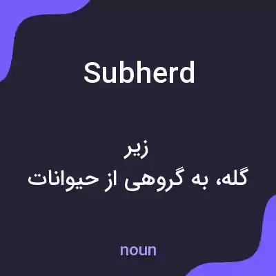 معنی subherd به فارسی