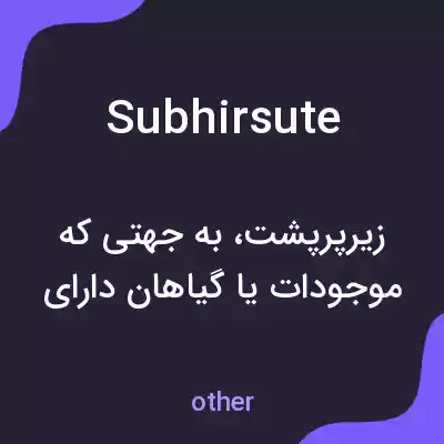 معنی subhirsute به فارسی معنی subhirsute به فارسی