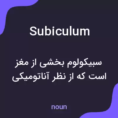 معنی subiculum به فارسی معنی subiculum به فارسی