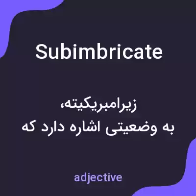 معنی subimbricate به فارسی معنی subimbricate به فارسی