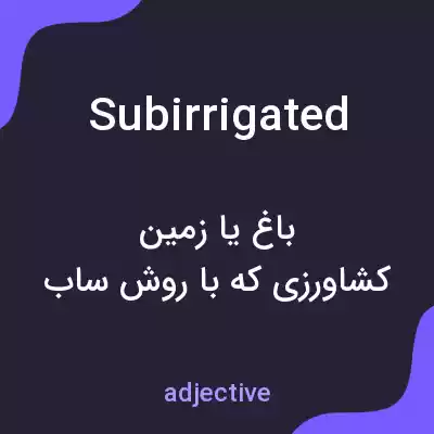 معنی subirrigated به فارسی معنی subirrigated به فارسی
