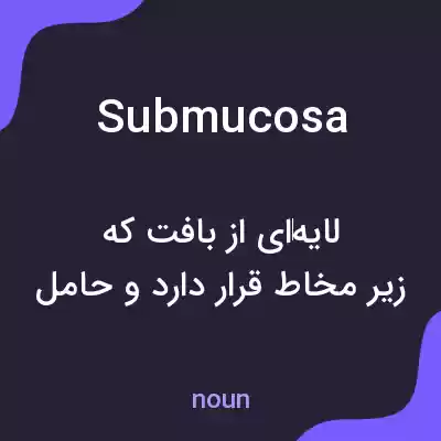 معنی submucosa به فارسی معنی submucosa به فارسی
