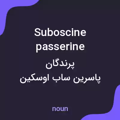 معنی suboscine passerine به فارسی معنی suboscine passerine به فارسی