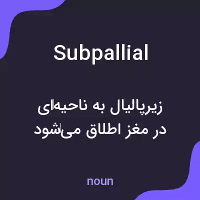 معنی subpallial به فارسی معنی subpallial به فارسی