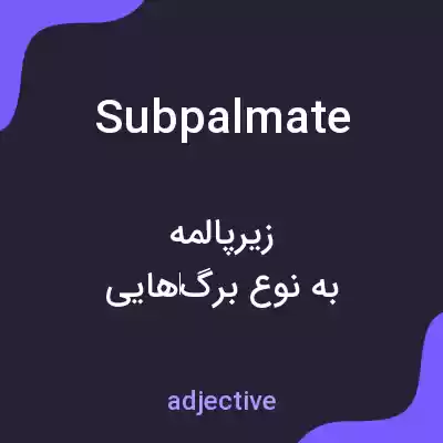 معنی subpalmate به فارسی معنی subpalmate به فارسی