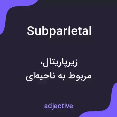 معنی subparietal به فارسی معنی subparietal به فارسی