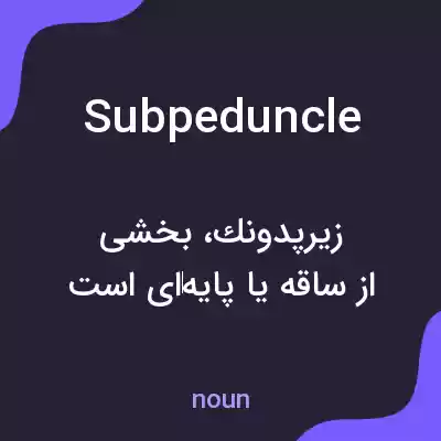 معنی subpeduncle به فارسی معنی subpeduncle به فارسی