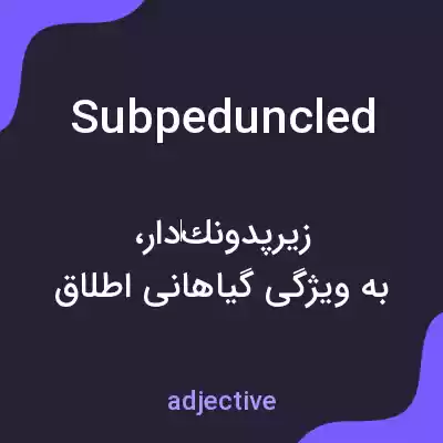 معنی subpeduncled به فارسی معنی subpeduncled به فارسی