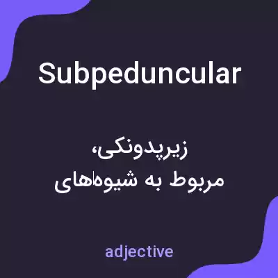 معنی subpeduncular به فارسی معنی subpeduncular به فارسی