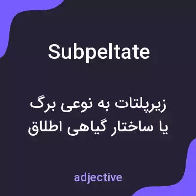 معنی subpeltate به فارسی معنی subpeltate به فارسی