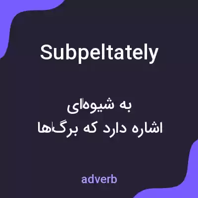 معنی subpeltately به فارسی معنی subpeltately به فارسی