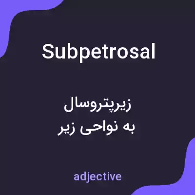 معنی subpetrosal به فارسی معنی subpetrosal به فارسی