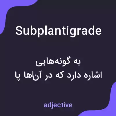 معنی subplantigrade به فارسی معنی subplantigrade به فارسی