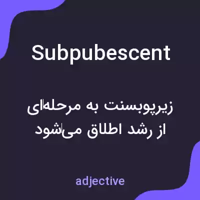 معنی subpubescent به فارسی معنی subpubescent به فارسی