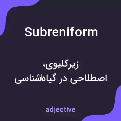 معنی subreniform به فارسی معنی subreniform به فارسی