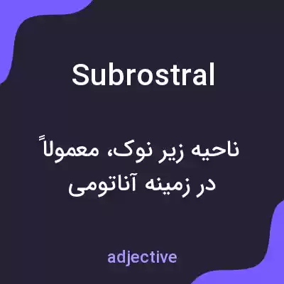 معنی subrostral به فارسی معنی subrostral به فارسی