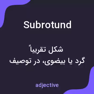 معنی subrotund به فارسی معنی subrotund به فارسی
