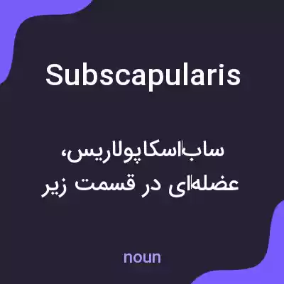 معنی subscapularis به فارسی معنی subscapularis به فارسی