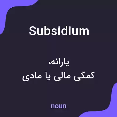 معنی subsidium به فارسی معنی subsidium به فارسی