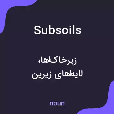 معنی subsoils به فارسی معنی subsoils به فارسی