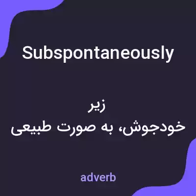 معنی subspontaneously به فارسی معنی subspontaneously به فارسی
