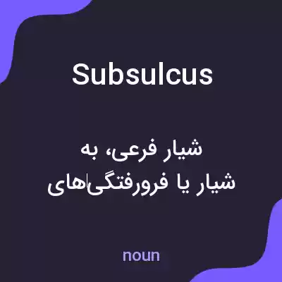 معنی subsulcus به فارسی
