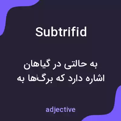 معنی subtrifid به فارسی معنی subtrifid به فارسی