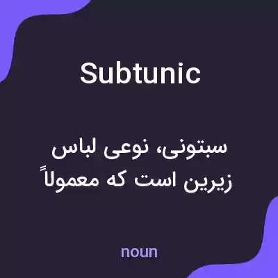 معنی subtunic به فارسی معنی subtunic به فارسی