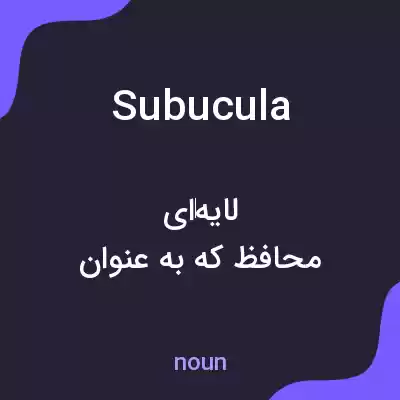 معنی subucula به فارسی معنی subucula به فارسی