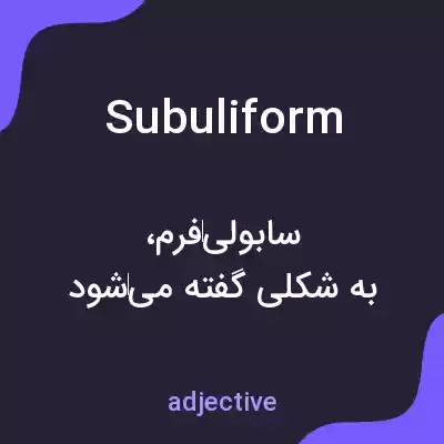 معنی subuliform به فارسی معنی subuliform به فارسی