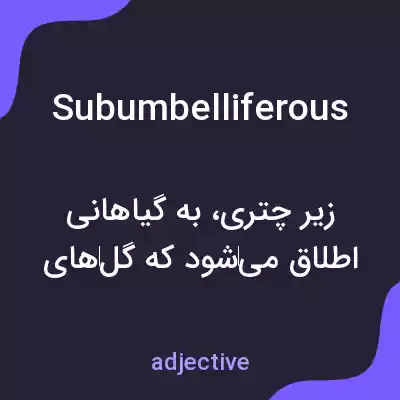 معنی subumbelliferous به فارسی معنی subumbelliferous به فارسی