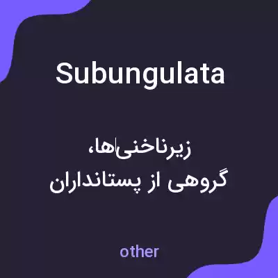 معنی subungulata به فارسی معنی subungulata به فارسی