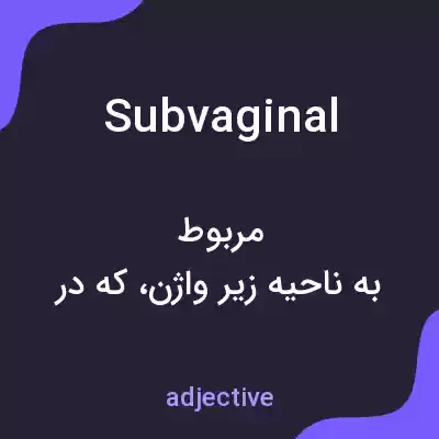 معنی subvaginal به فارسی معنی subvaginal به فارسی