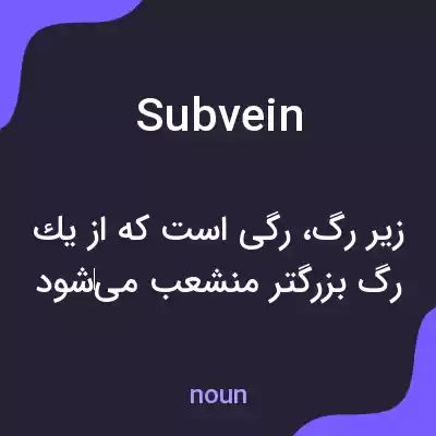 معنی subvein به فارسی معنی subvein به فارسی