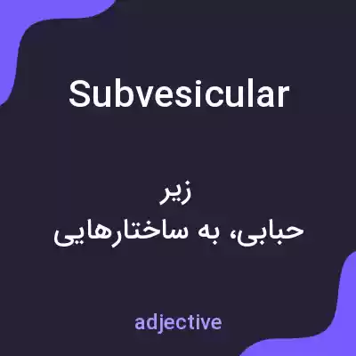 معنی subvesicular به فارسی
